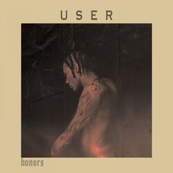 Cover of User