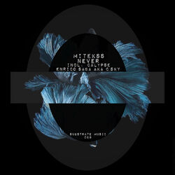 Cover of Never