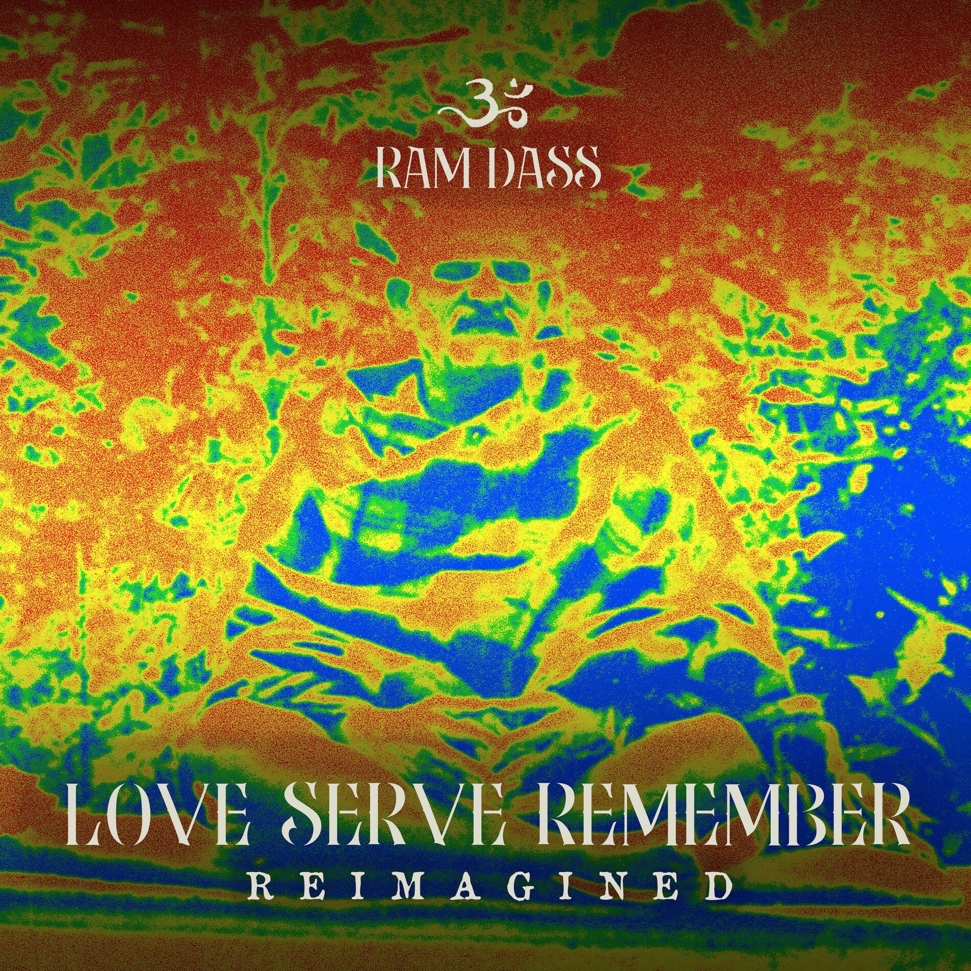 Album cover of Love Serve Remember: Reimagined