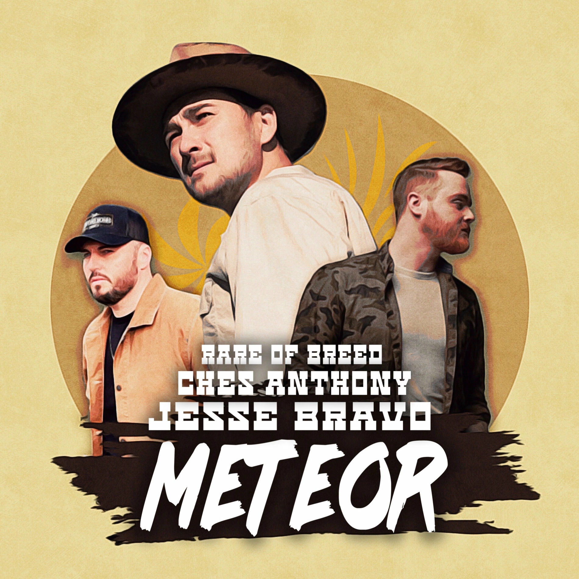 Album cover of Meteor