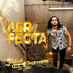 Cover of Perfecta