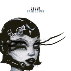 Cover of Upside Down