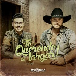 Cover of Tô Querendo Largar!