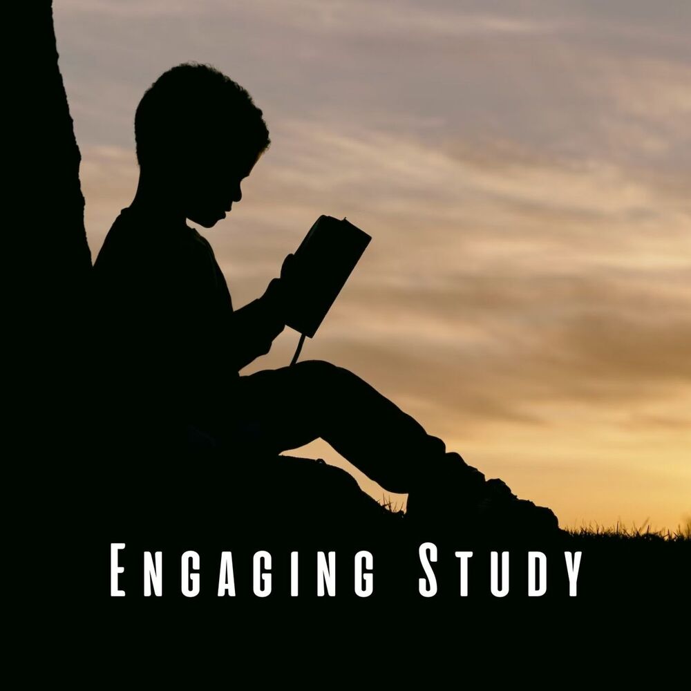 Picture of Engaging Study: Chill Music for the Mind
