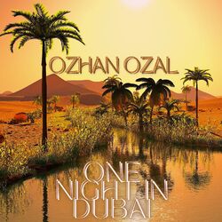 Cover of One Night in Dubai
