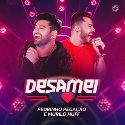 Desamei (Ao Vivo)