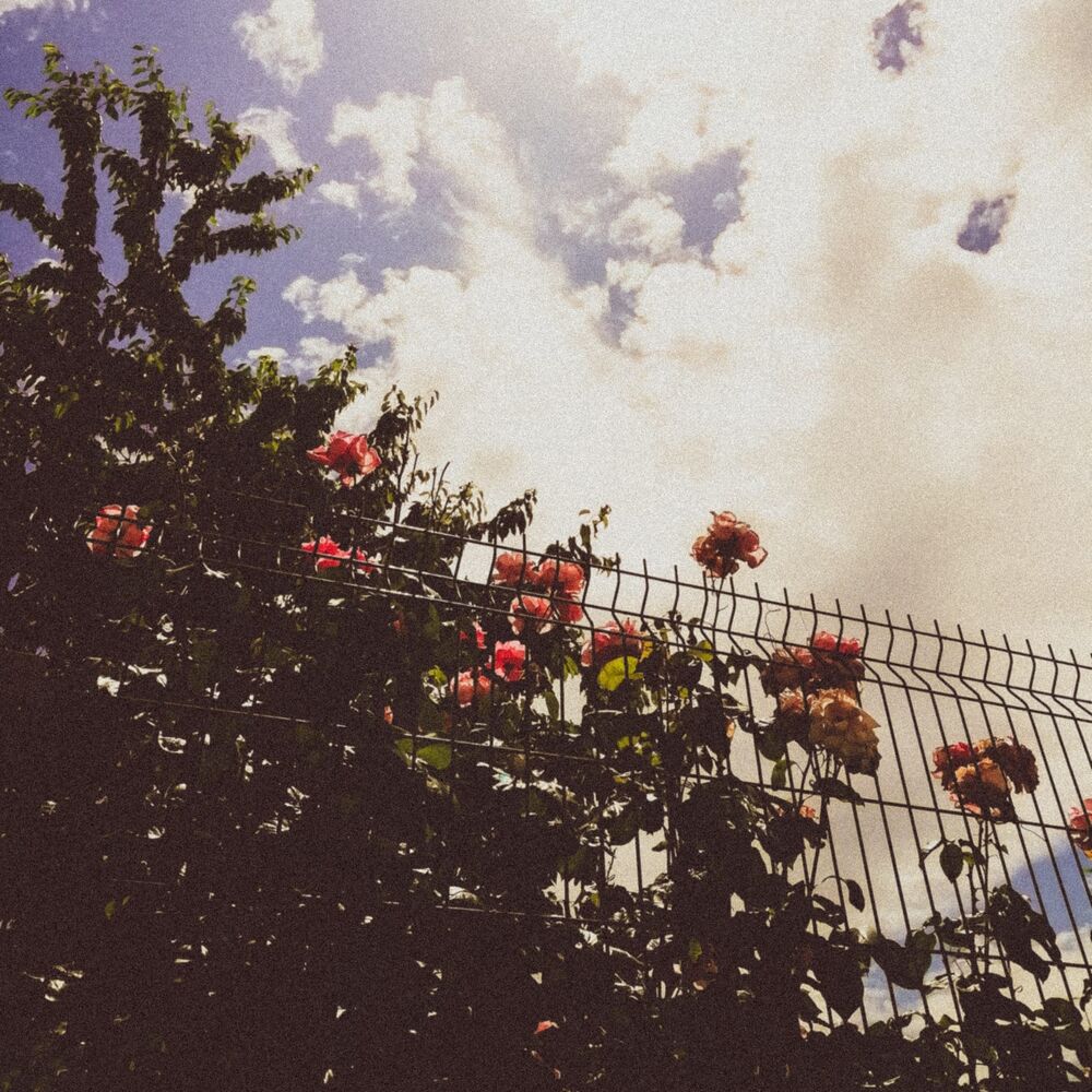 Picture of urban romance