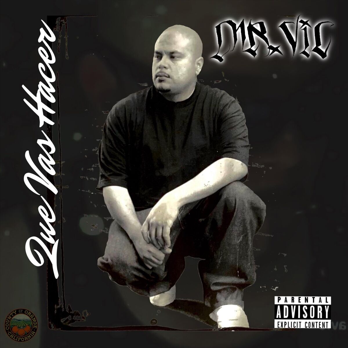 Mr. Vic - South Side Rap Featuring the heavy hitters in the