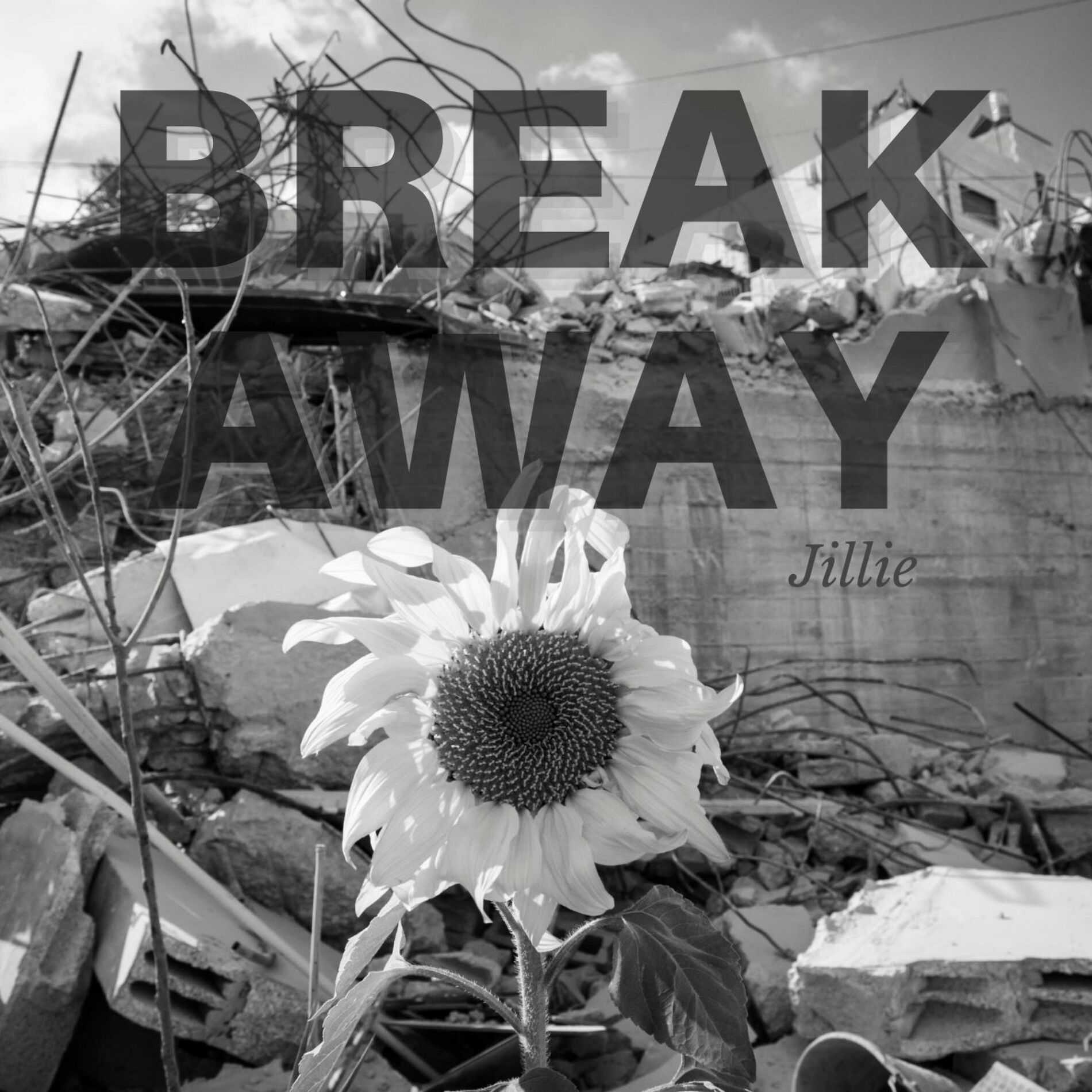 Album cover of Break Away