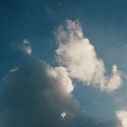 Cover of Not the Same