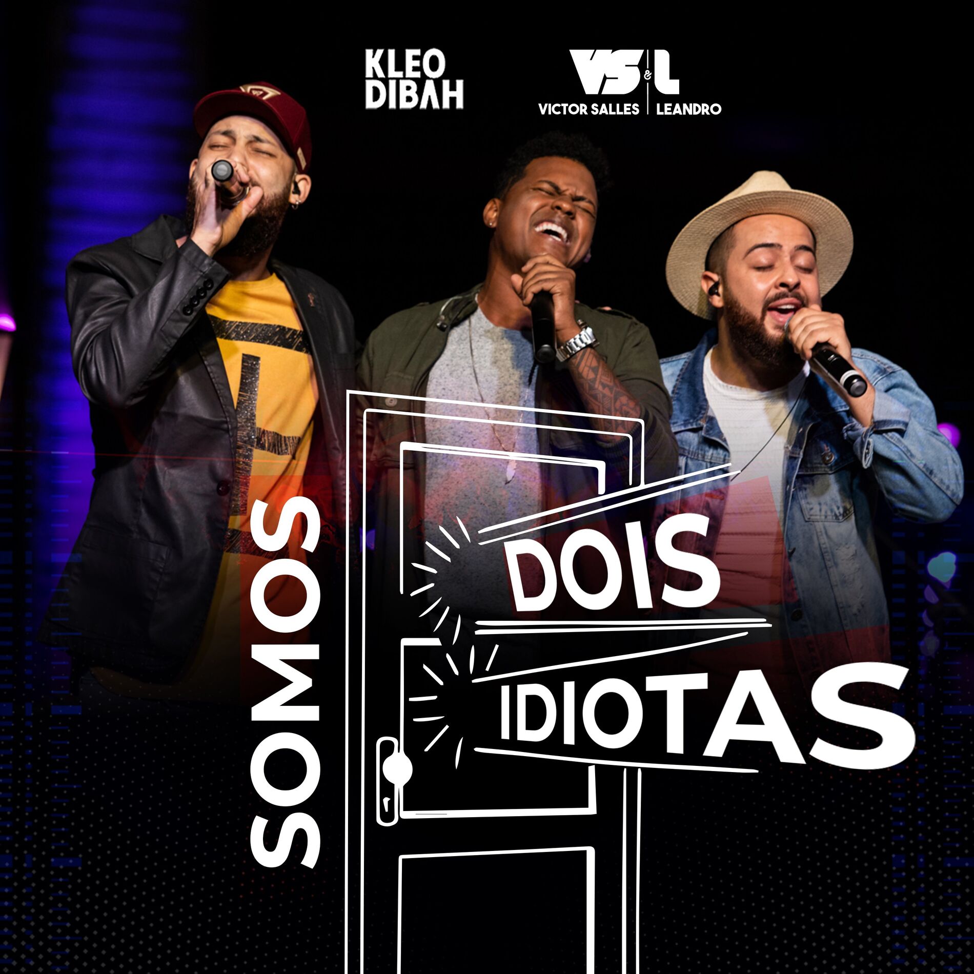 Album cover of Somos Dois Idiotas