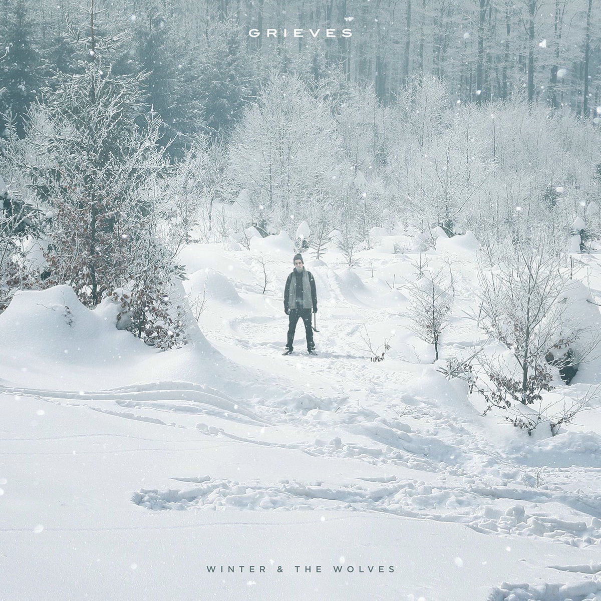 Album cover of Winter & The Wolves (Deluxe Version)