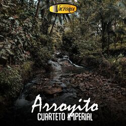 Cover of Arroyito