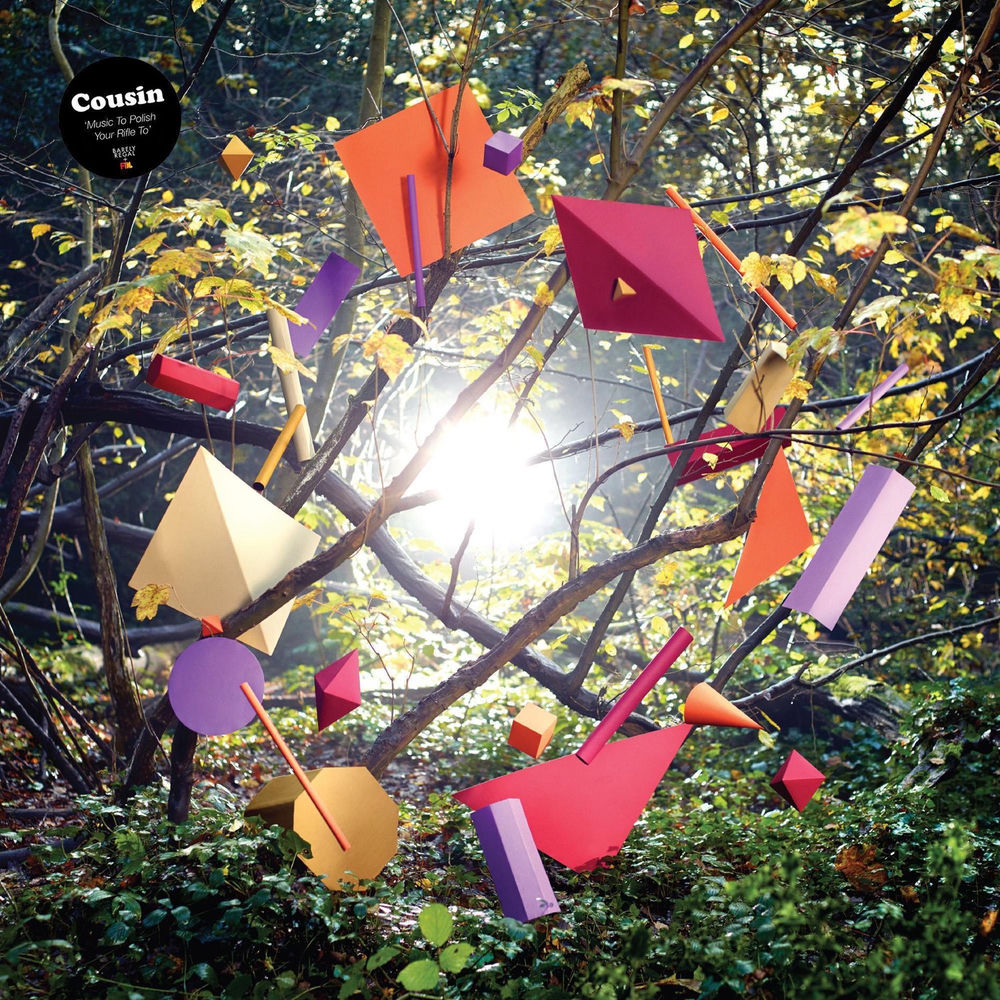 Album artwork for Which Schnitzel by Cousin