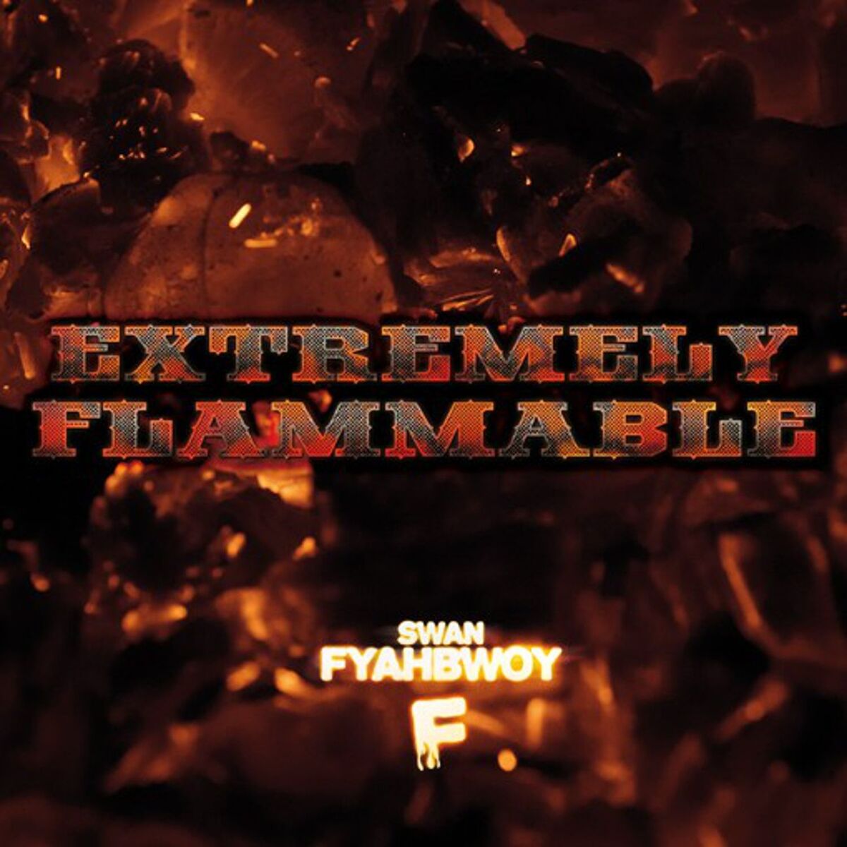 Album cover of Extremely Flammable