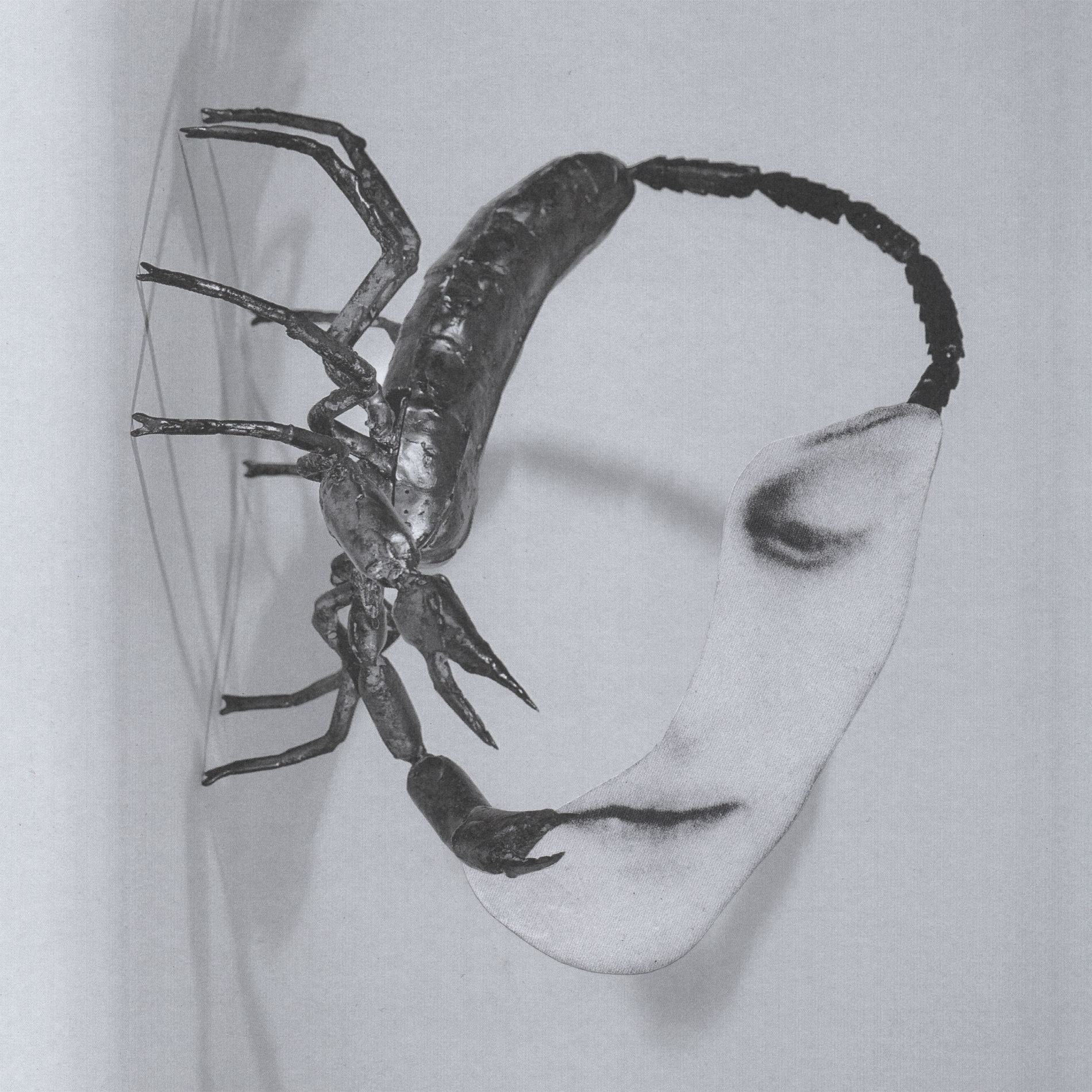 Album cover of A Title Comes