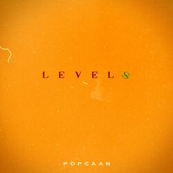 Cover of Levels