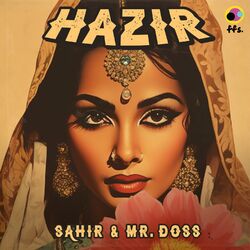 Cover of Hazir