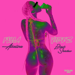 Cover of Fulla Vibes