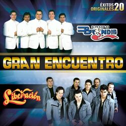 Cover of Gran Encuentro (20 Éxitos Originales)