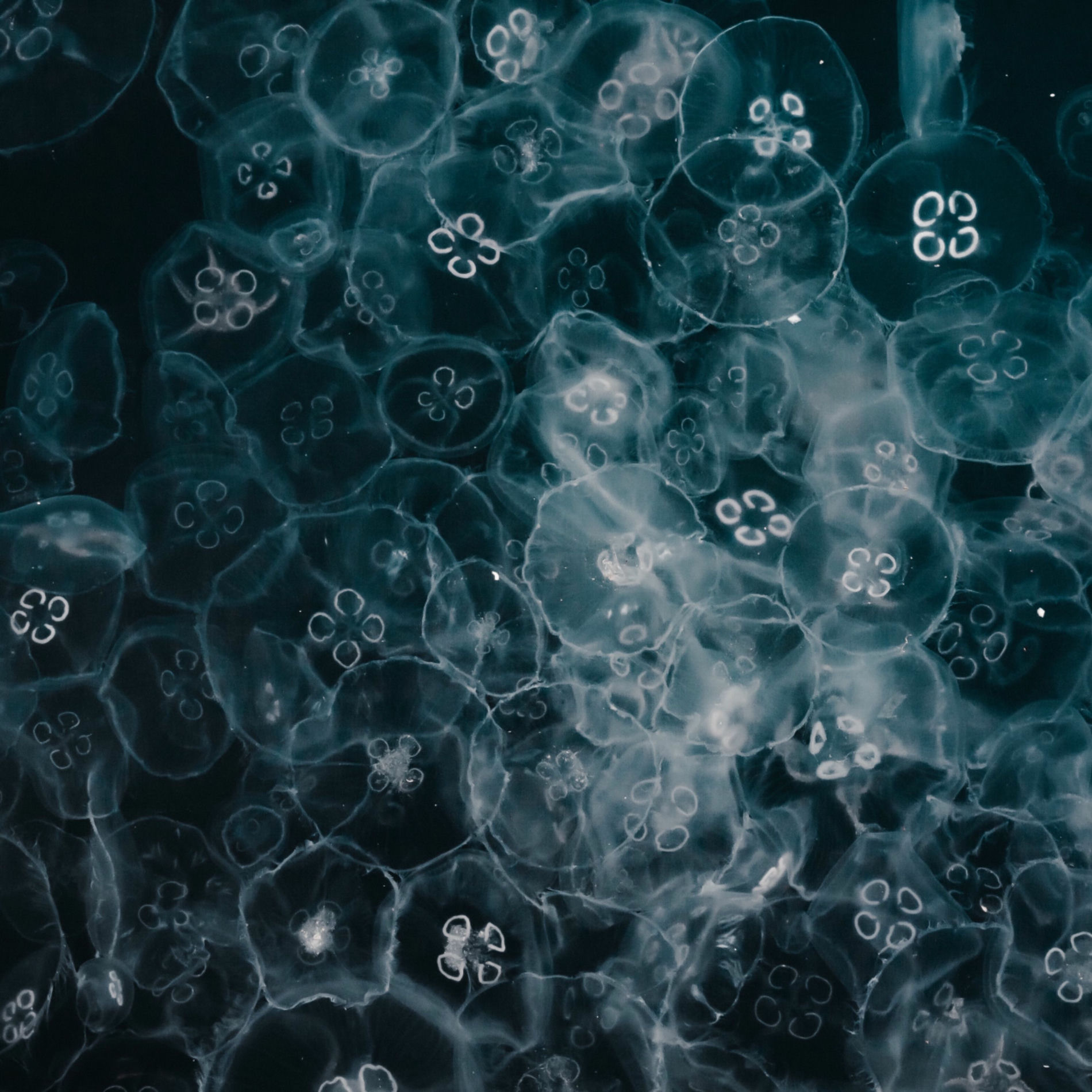 Album cover of Deep Electronics