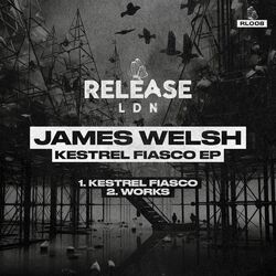 Cover of Kestrel Fiasco
