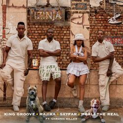 Cover of Izinja (Full Version)