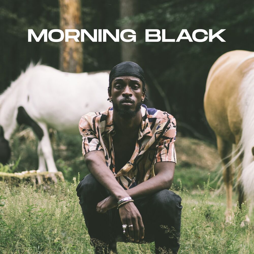 Picture of Morning Black