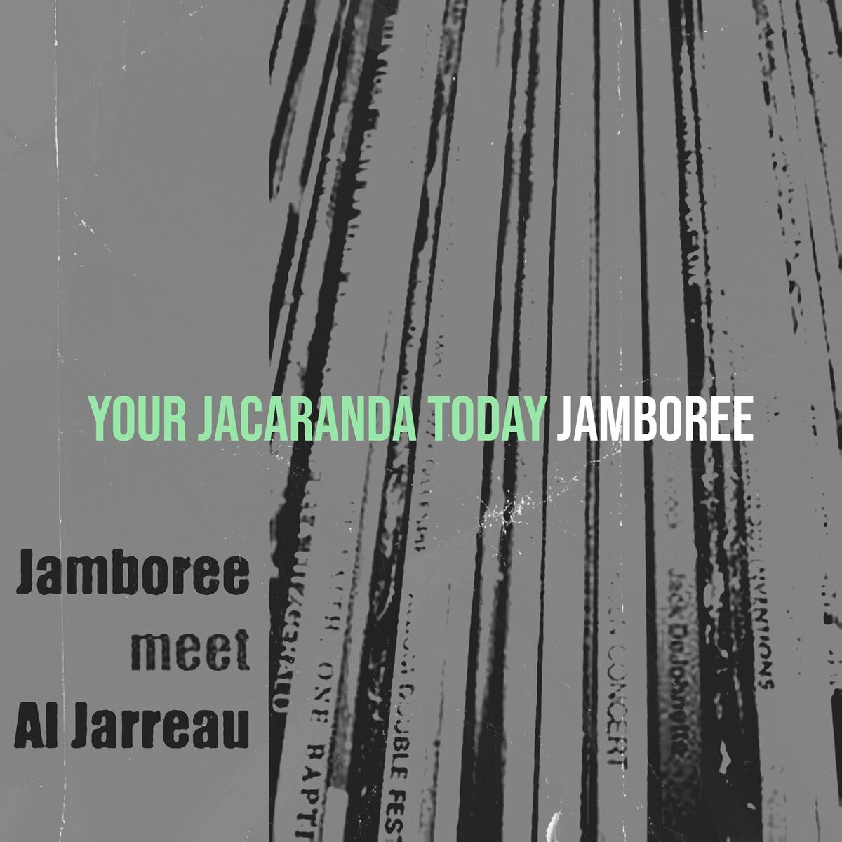 Album cover of Your Jacaranda Today (Live)