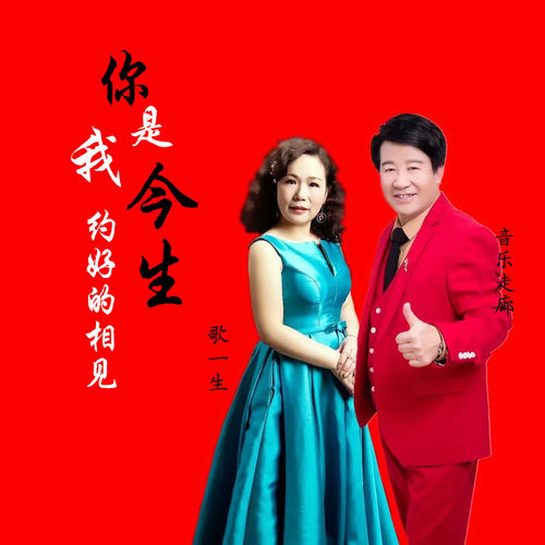 你是我今生约好的相见