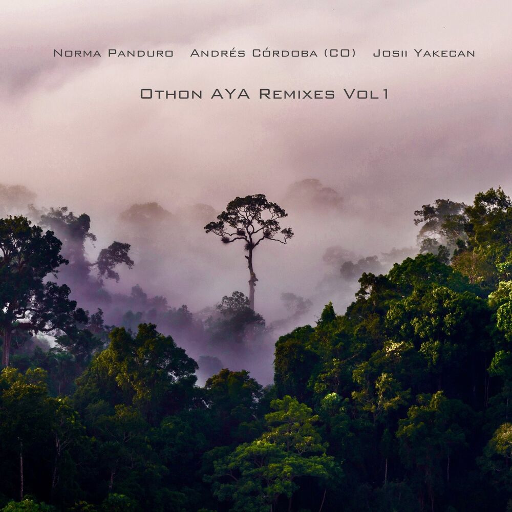 Picture of Othon AYA Remixes, Vol. 1