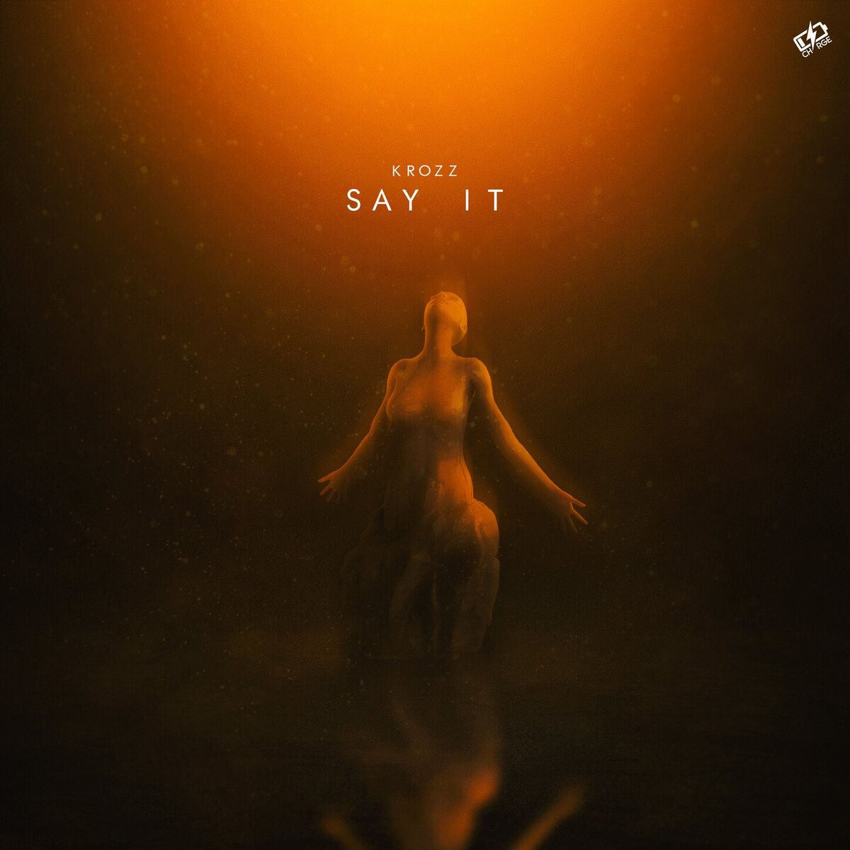 Album cover of Say It