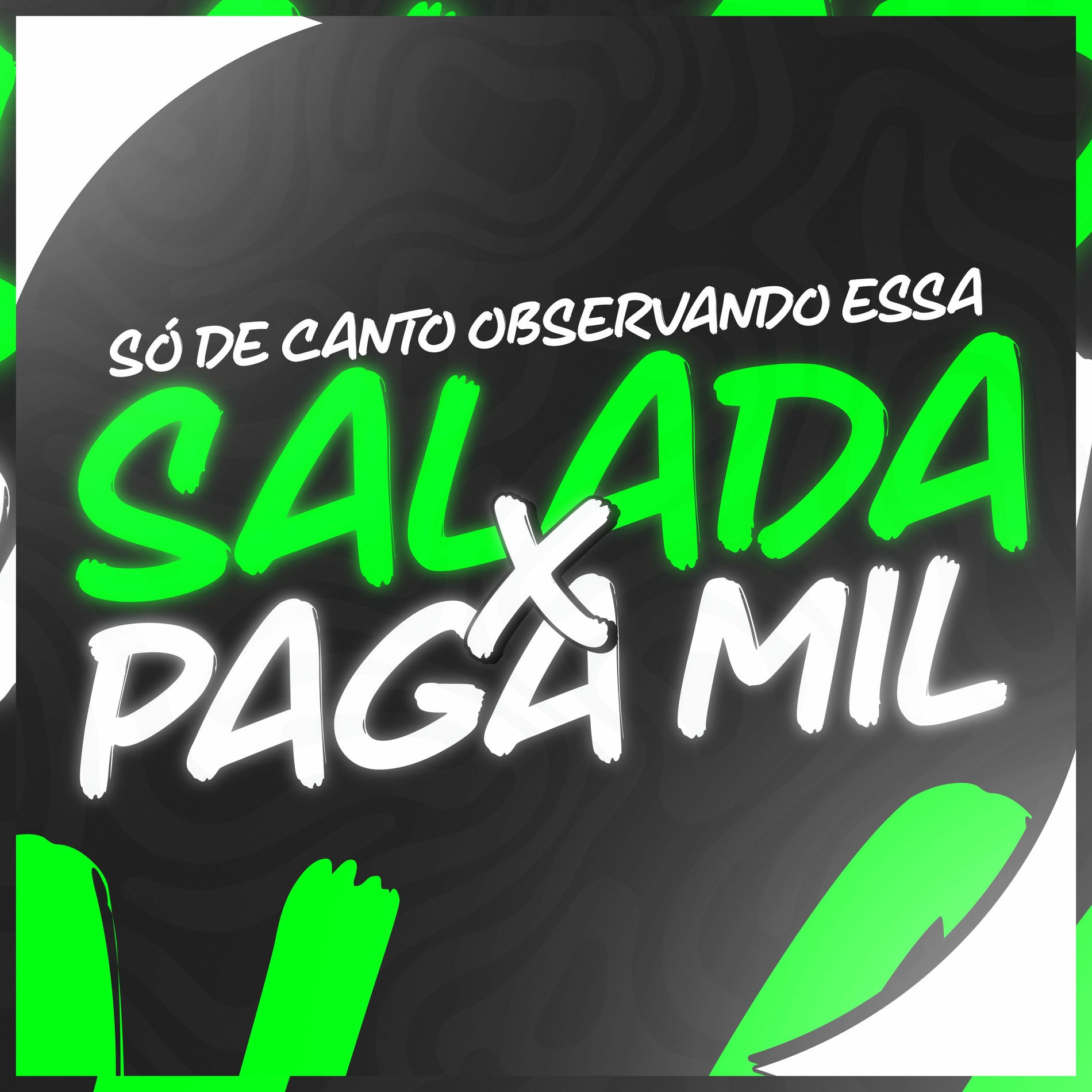 Album cover of SÓ DE CANTO OBSERVANDO ESSA SALADA X PAGA MIL