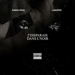 Cover of J'disparais dans l'noir