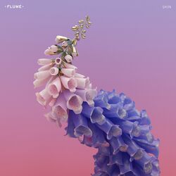 Cover of Skin