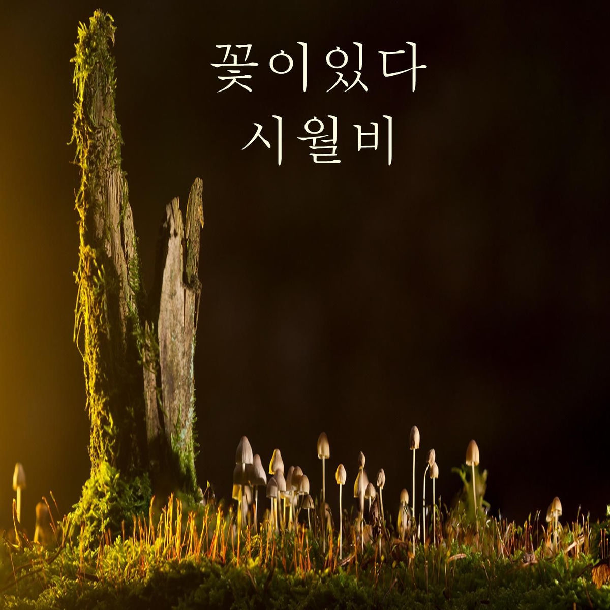 Album cover of Flower Rain