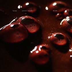 Cover of Arterial Reworks