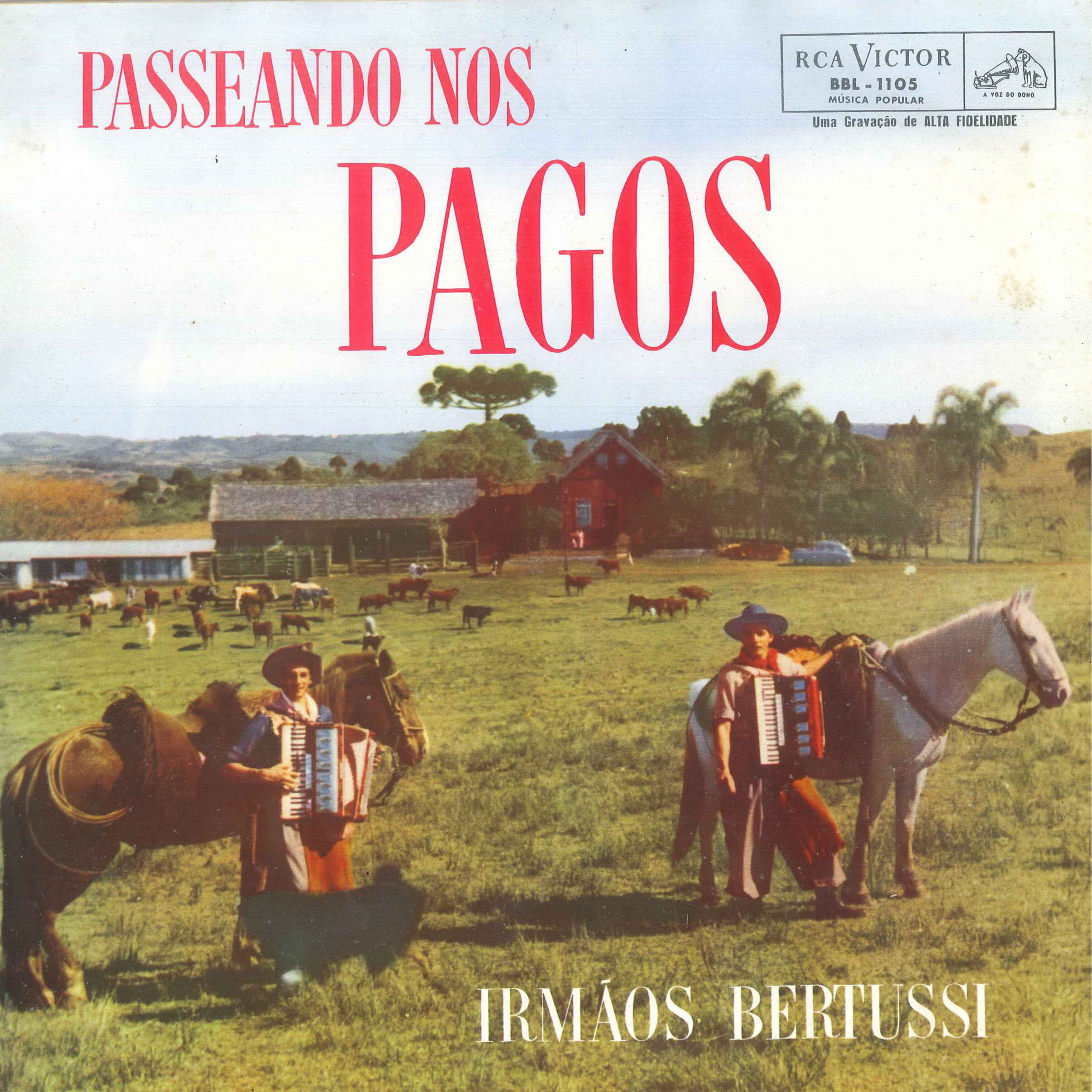 Album cover of Passeando nos Pagos