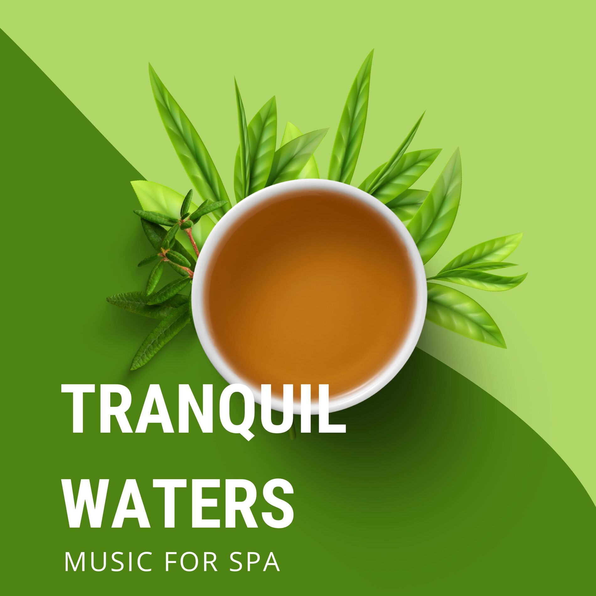 Album cover of Tranquil Waters: Music for Spa