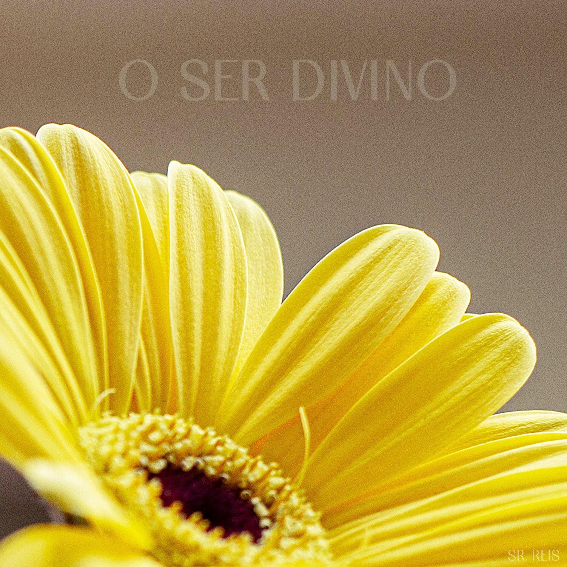 Album cover of O Ser Divino