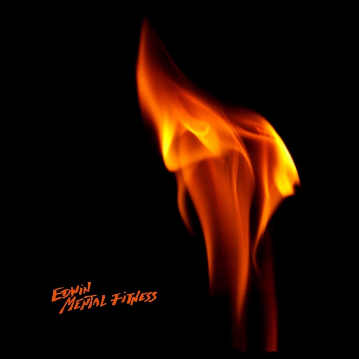 Album cover of Mental Fitness