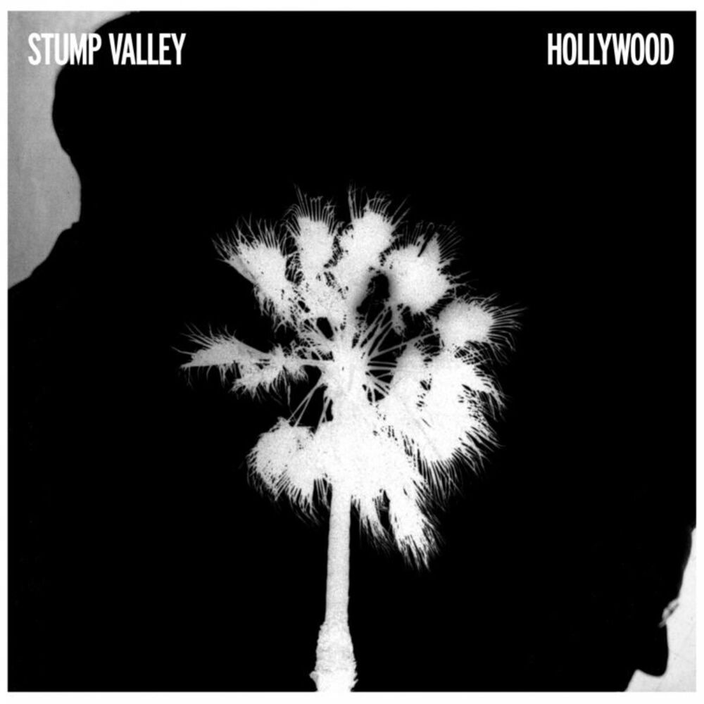 Picture of Hollywood