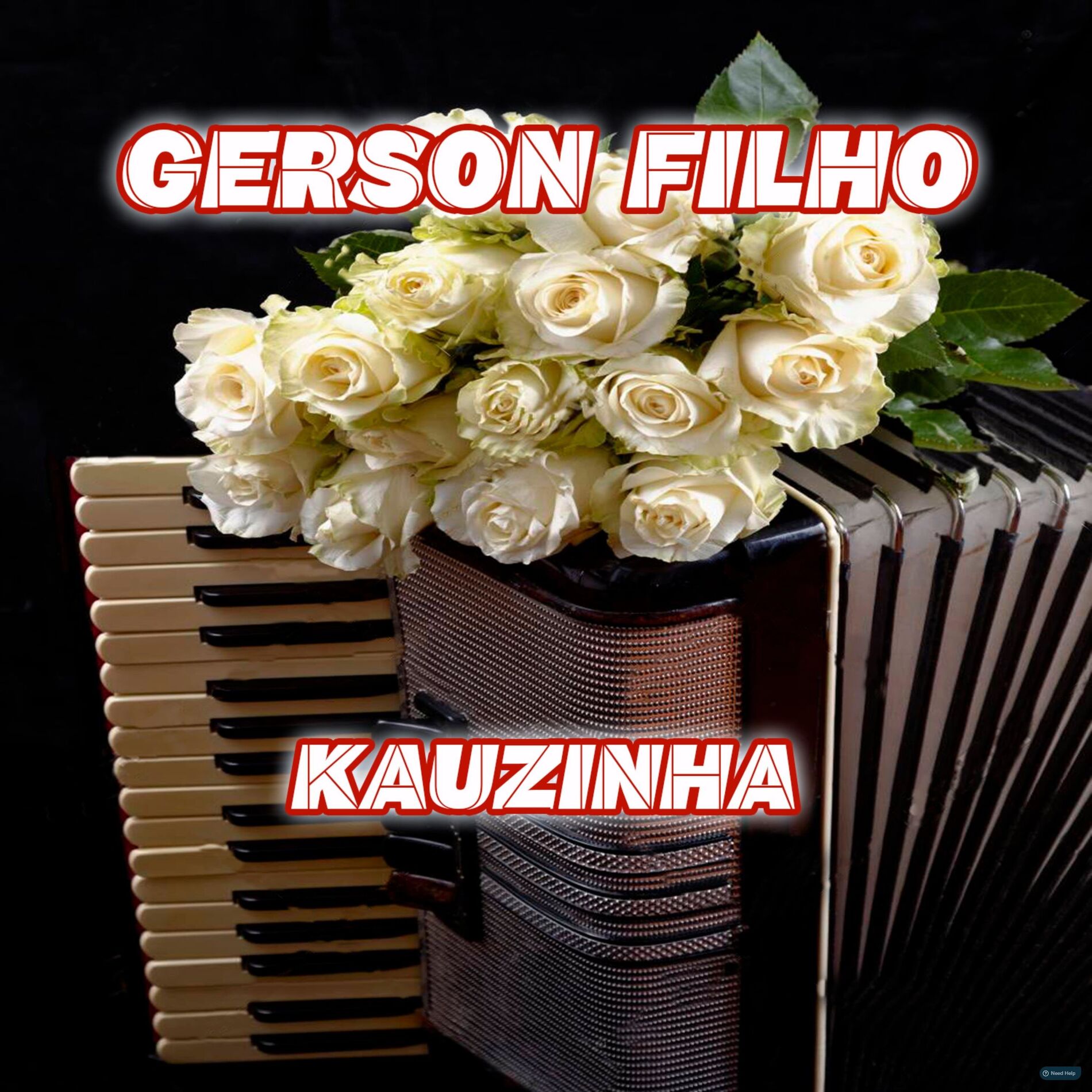 Album cover of forro das capivaras