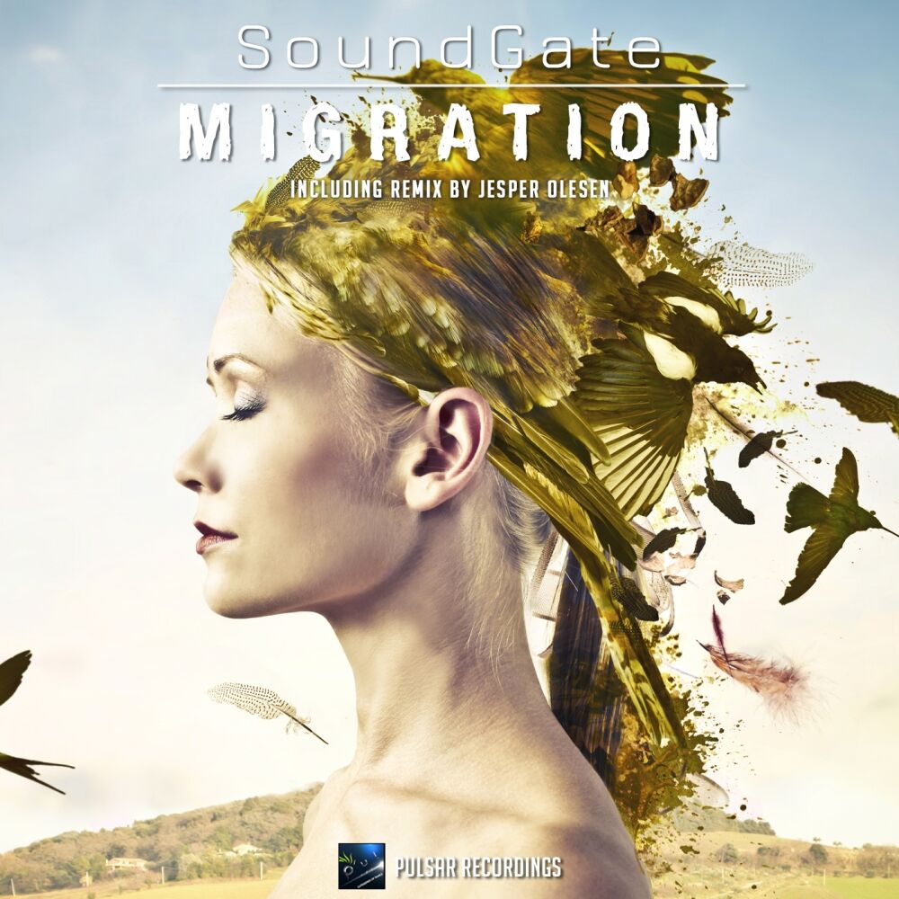 Picture of Migration