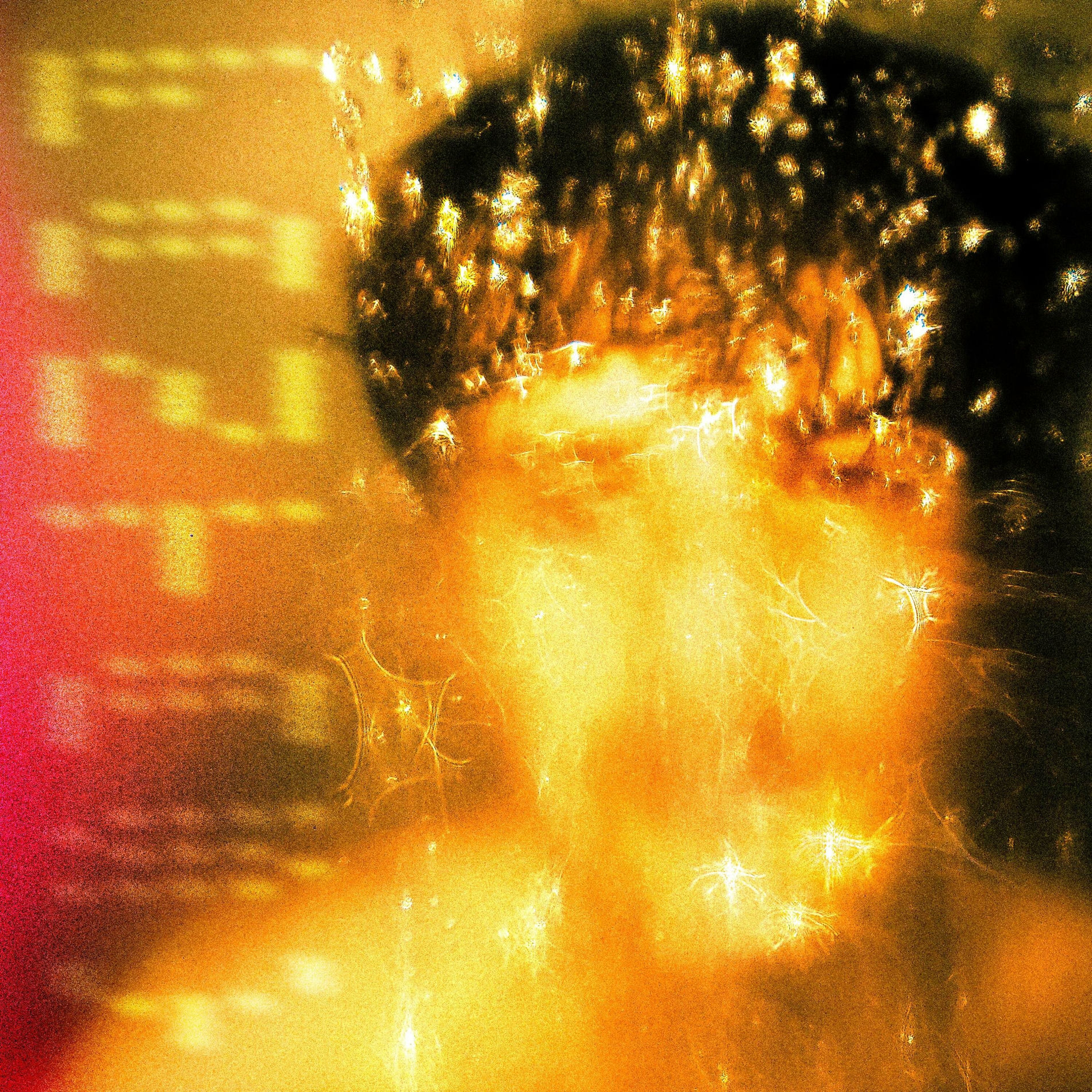 Album cover of Fantasy