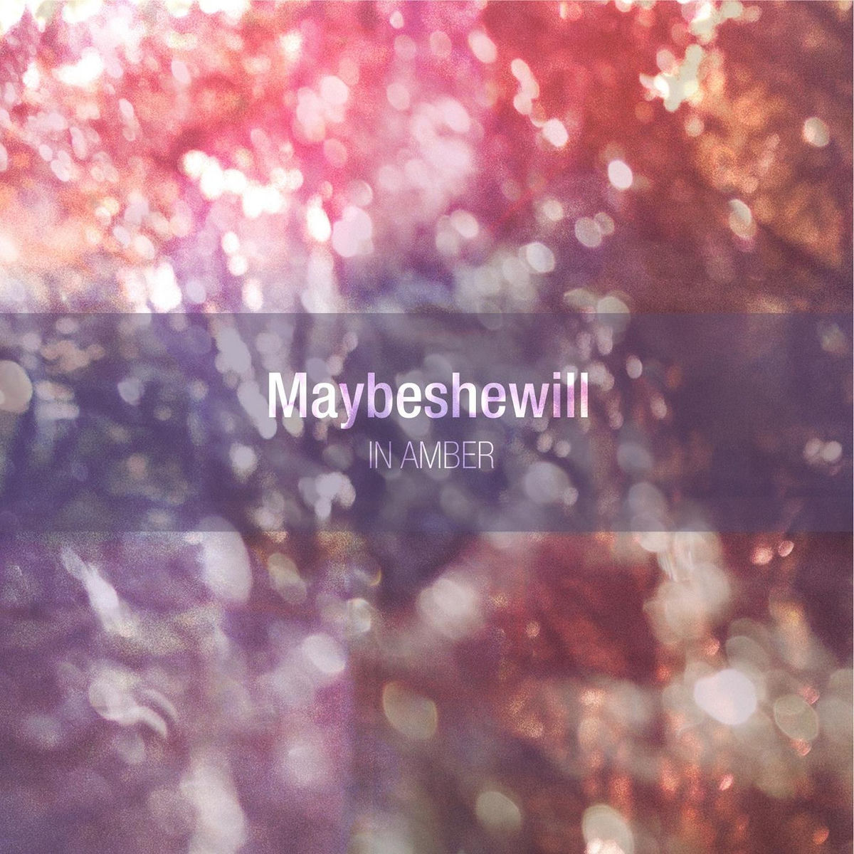 Album cover of In Amber