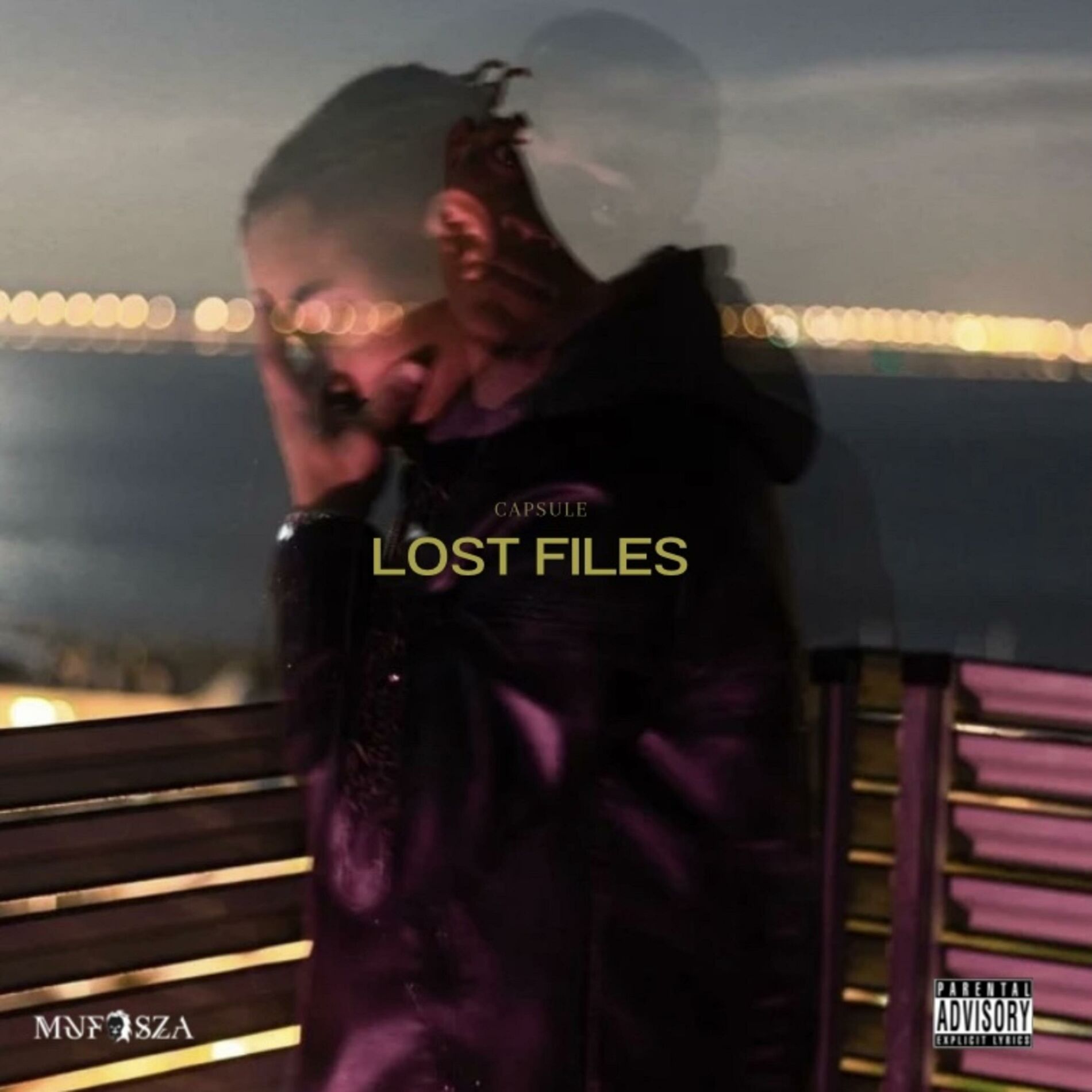 Album cover of The capsule : Lost files
