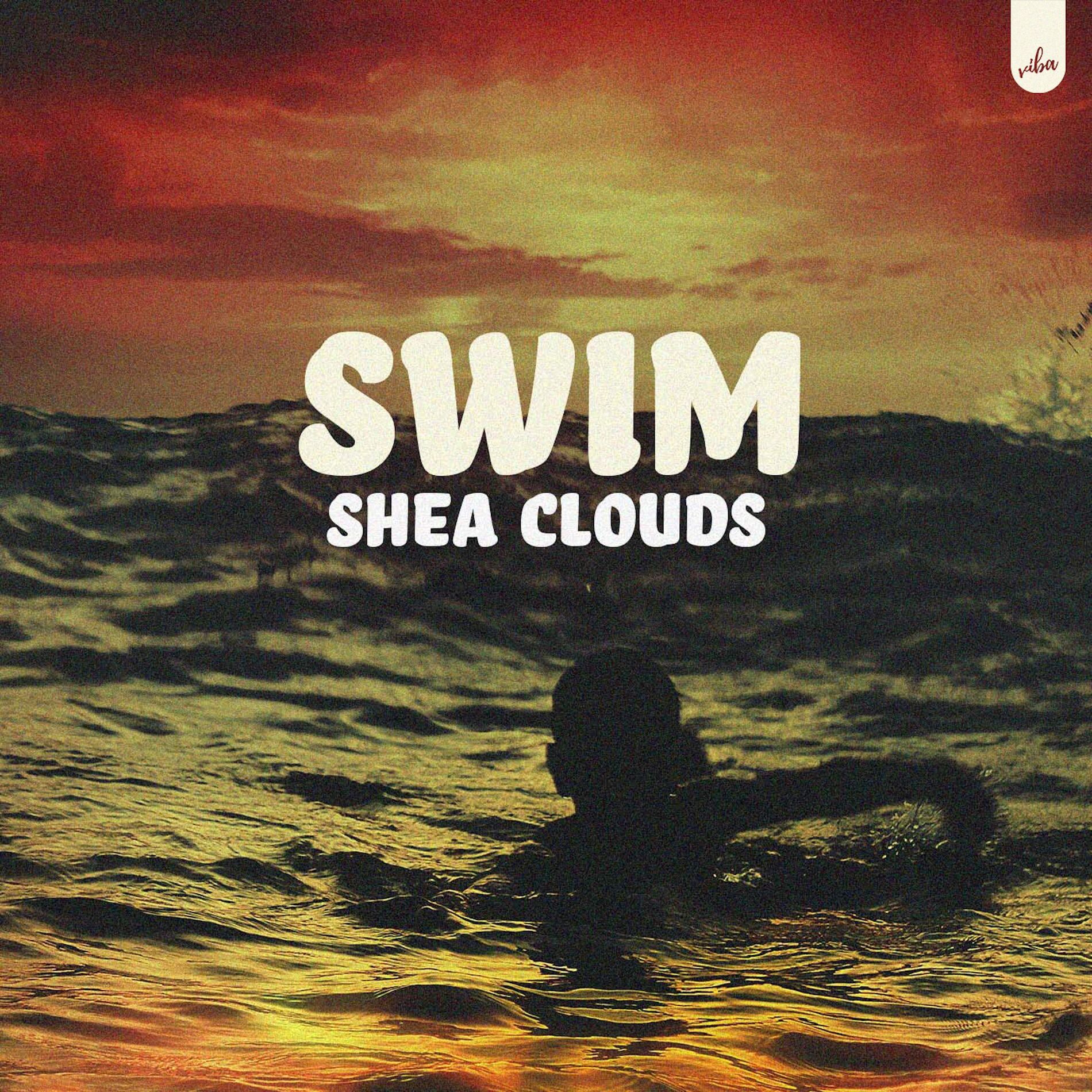 Album cover of Swim