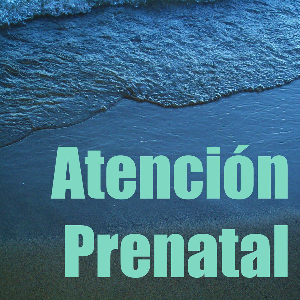 Picture of Atención Prenatal