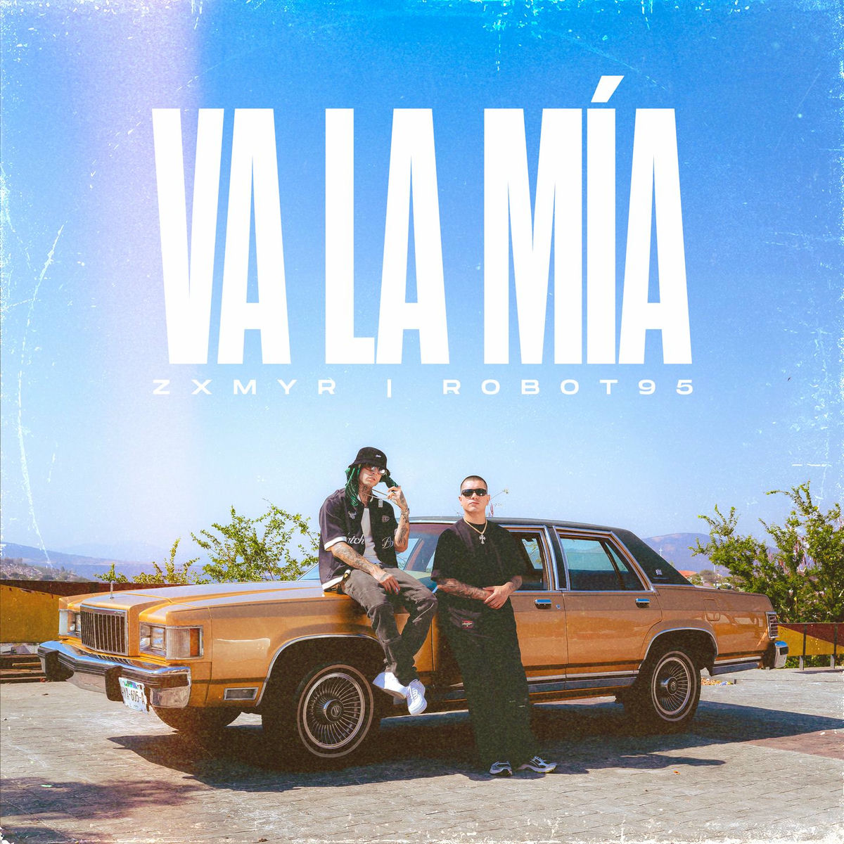 Album cover of Va La Mía
